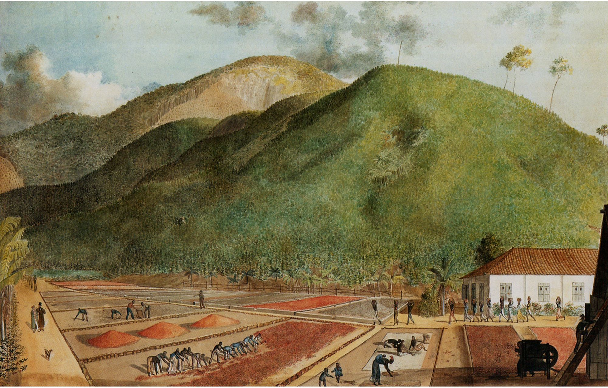 CfP: Commodities and Environments in Early Modern Global Asia, 1400–1800